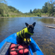 Illustration for article titled Sylvie at the Russian River, Ill add some NorCal DOTS